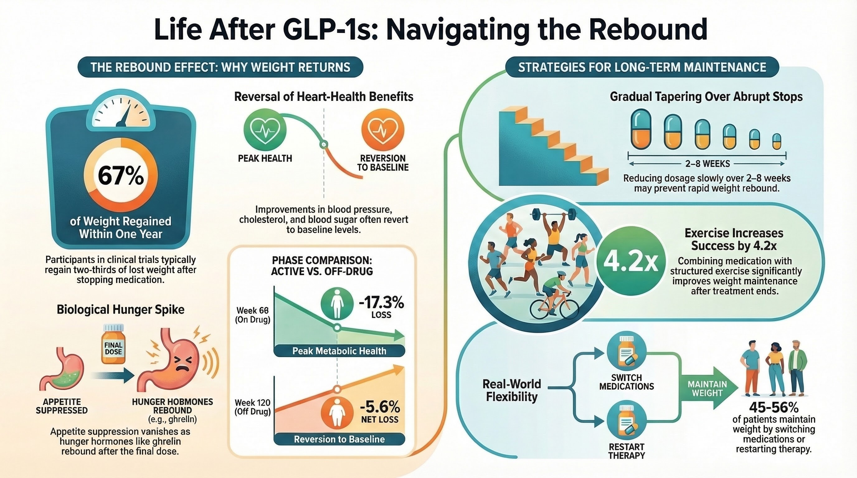 Life after GLP-1s: navigating the rebound. About 67 percent of weight is regained within one year of stopping. Heart-health benefits in blood pressure, cholesterol, and blood sugar often revert to baseline. Strategies: gradual tapering over 2-8 weeks, exercise increases maintenance success 4.2 times, and 45-56 percent of patients maintain weight by switching medications or restarting therapy.