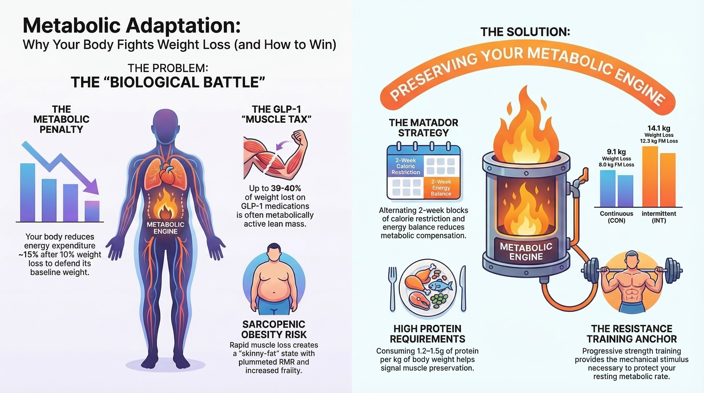 Metabolic adaptation: why your body fights weight loss. Energy expenditure drops about 15 percent after 10 percent weight loss. Up to 39-40 percent of weight lost on GLP-1 medications is metabolically active lean mass. Solutions: high protein intake of 1.2-1.5 grams per kilogram, MATADOR-style alternating calorie blocks, and progressive resistance training.